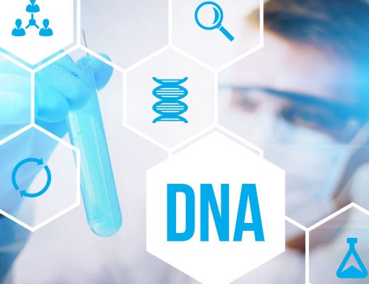 Ancestry Or 23AndMe – Which Is The Better DNA Testing Service?