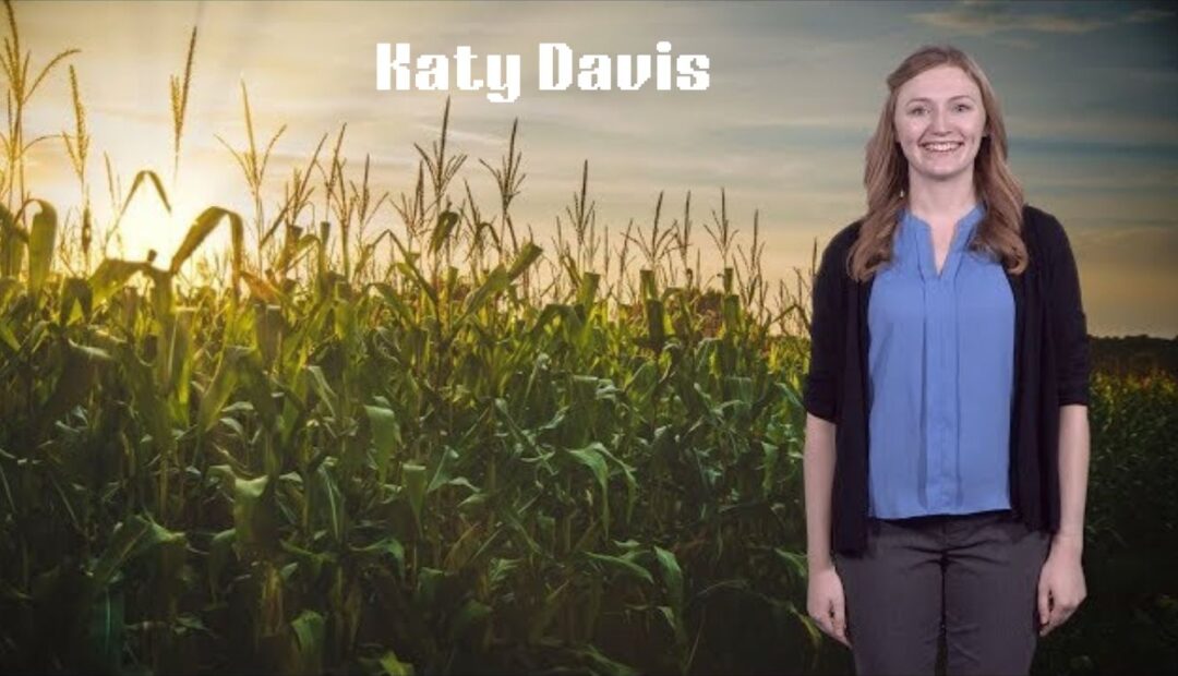 Katy Davis